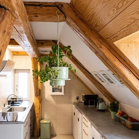 Farm stay Nasze Calle *