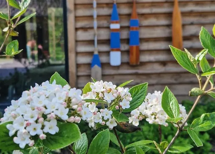 Nasze Calle Wegorzewo