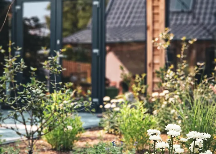 Nasze Calle * Wegorzewo