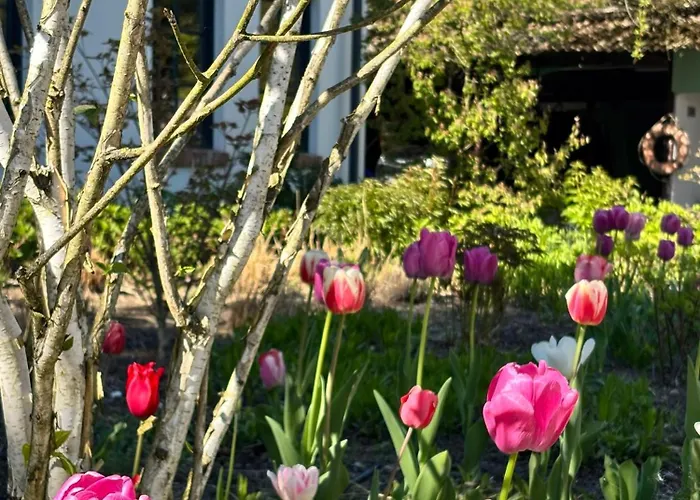 Nasze Calle Farm stay